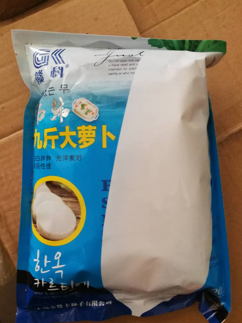 迟花九斤王大萝卜中晚熟耐寒耐抽苔冬性极强
