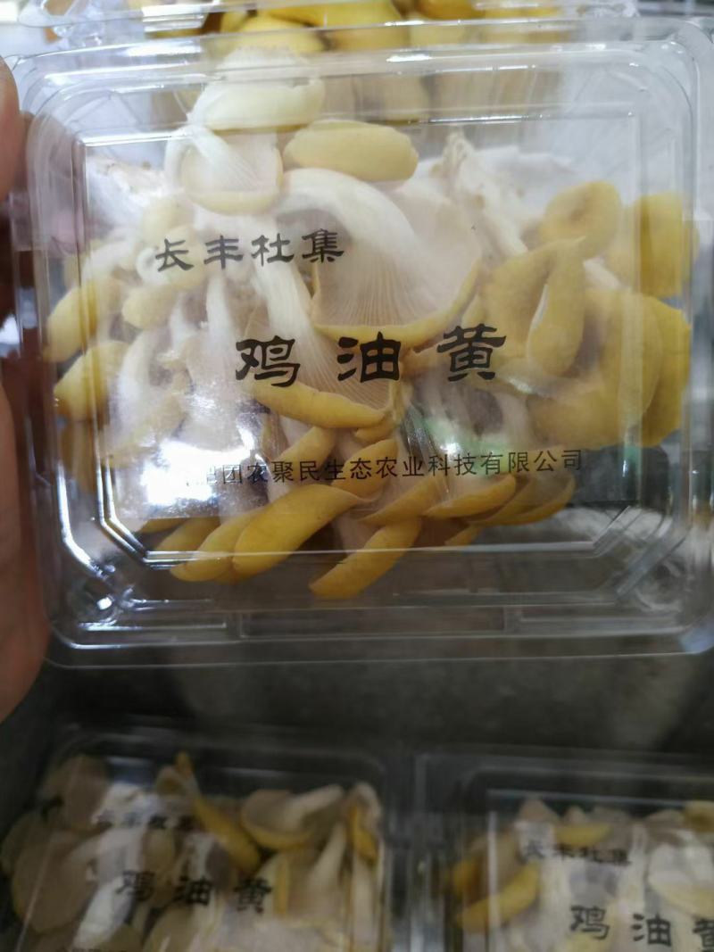 菌菇礼盒，新鲜食用菌组合，松茸，金耳，鸡枞，秀珍菇