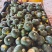 南瓜，板栗南瓜，基地头岔老瓜对接各种平台市场加工厂