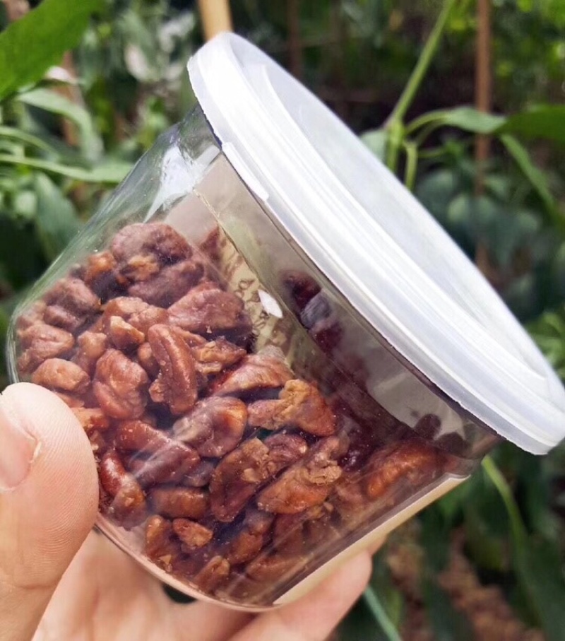 临安山核桃仁每罐毛重140克🈶️量有价
