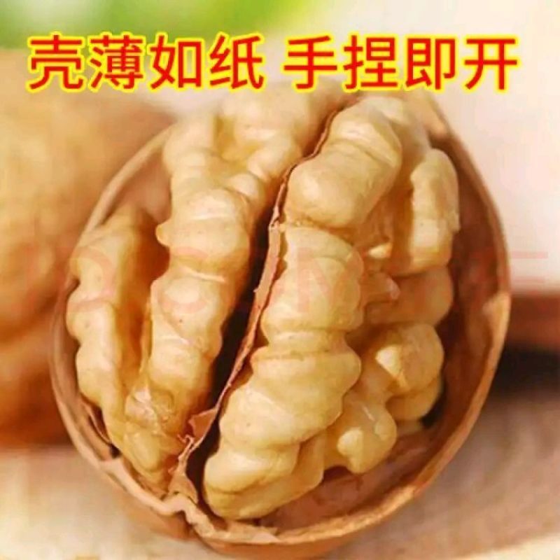 新货特价新疆薄皮核桃批发坚果薄皮大核桃原味干核桃送