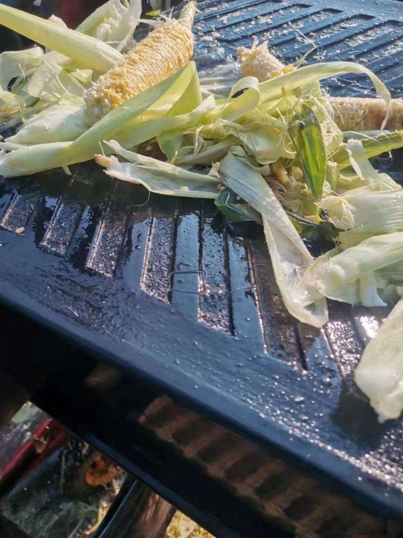 玉米芯玉米皮玉米粒