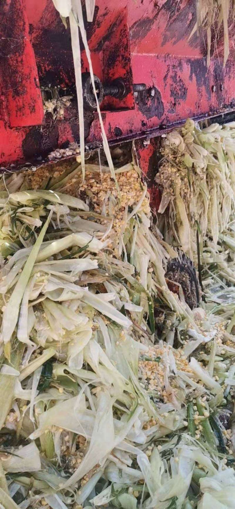 玉米芯玉米皮玉米粒
