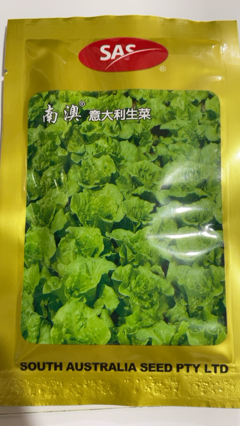 进口南澳生菜种子口感甜脆耐抽苔耐热耐寒叶片大产量高