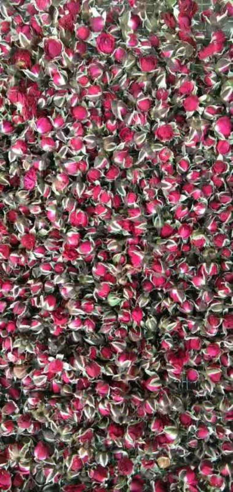 玫瑰花茶