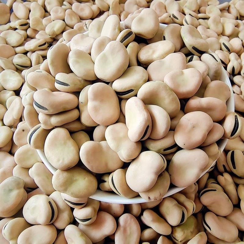 甘肃高原新鲜干蚕豆费可油炸散装（大豆，量大优惠