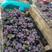 大量水果厂榨汁葡萄