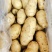 土豆荷兰十五黄心土豆产地直发价低质优