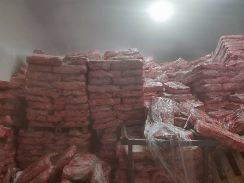 食用级饲料级猪肺品质好