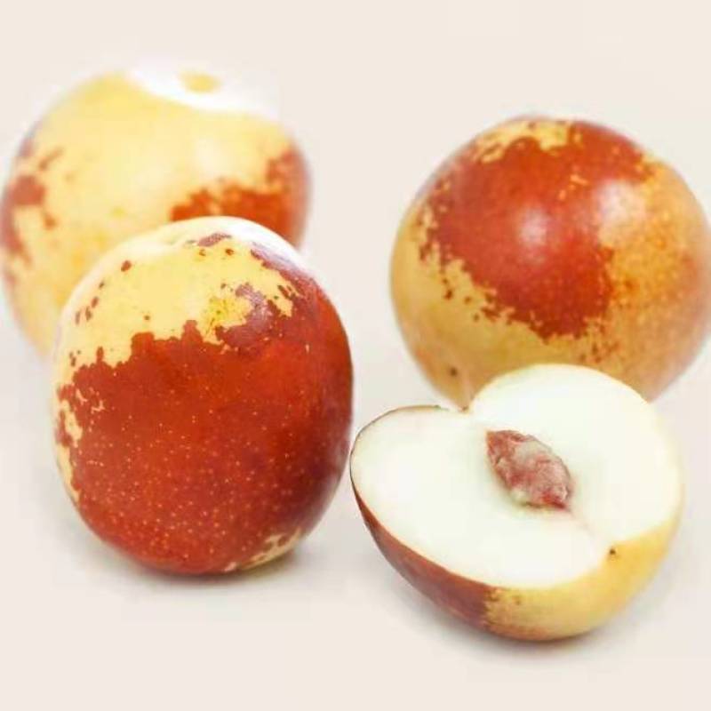 冬枣婆枣鲜枣自家枣园现摘现发可视频看货一手货源不包邮