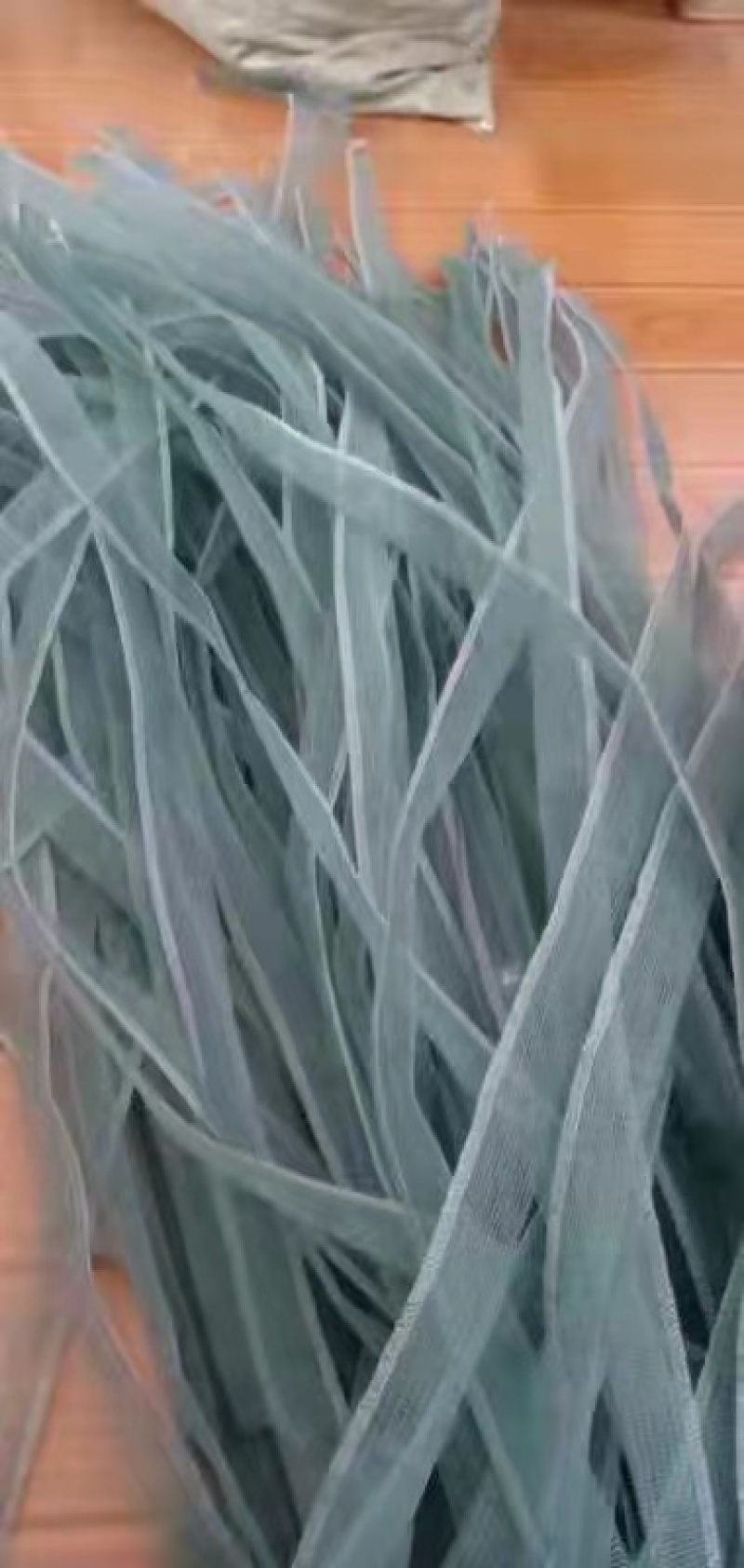 欢迎预订4-5-6-7-8月份的虫卵。专业养殖豆虫（豆丹