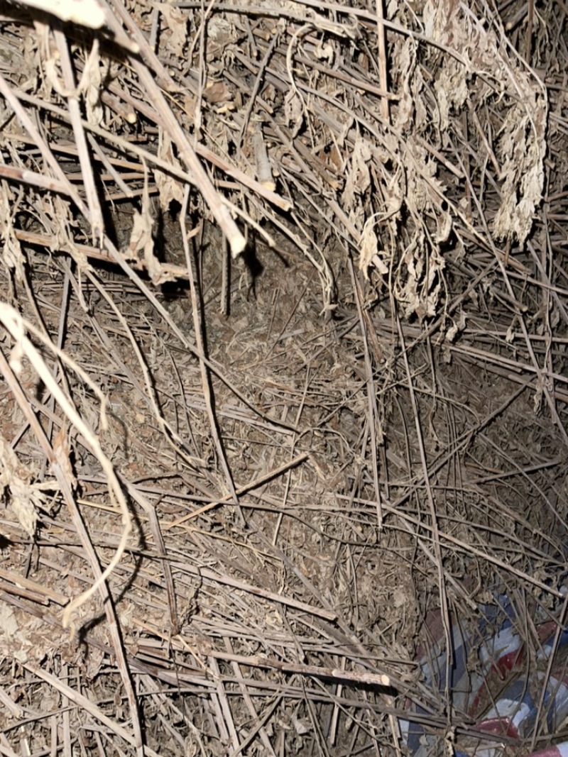 三年陈艾，大叶，保存好，品质好。清场地