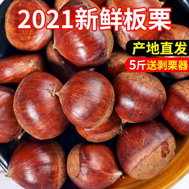 板栗生新鲜5斤非迁西批发农家现摘生栗子