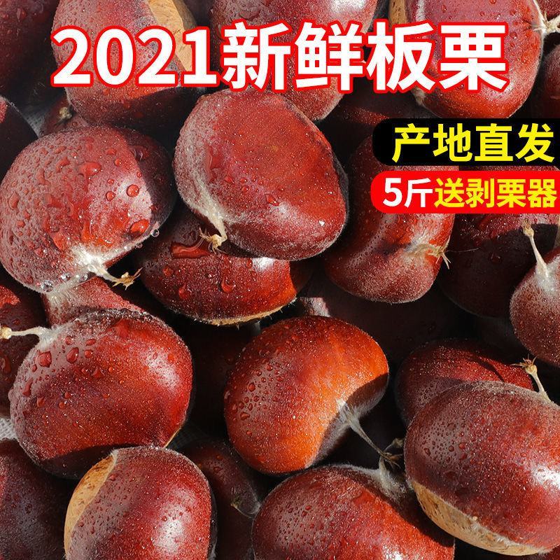 板栗生新鲜5斤非迁西批发农家现摘生栗子