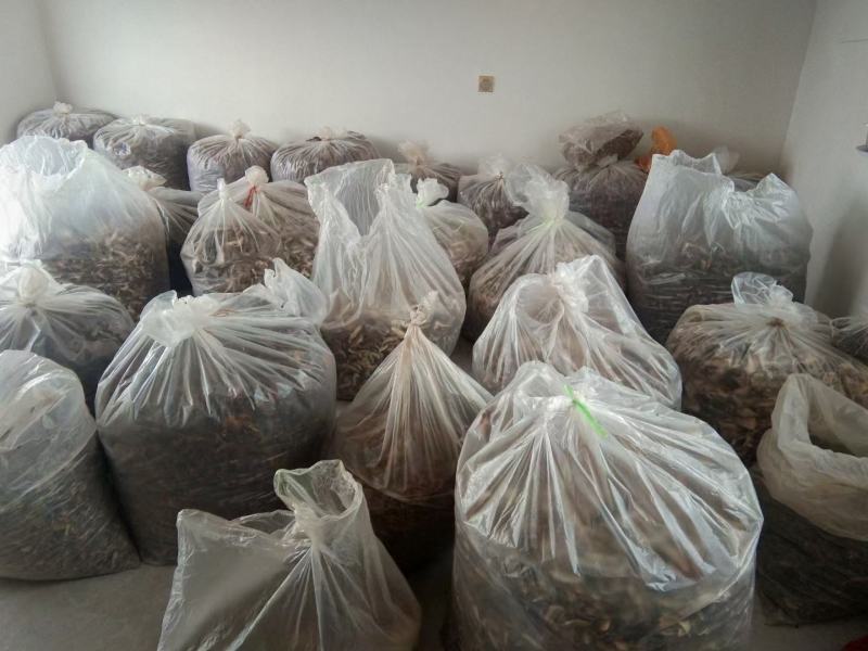 红乳牛肝菌干货红松蘑滑子菇松树菌源产地精品批发