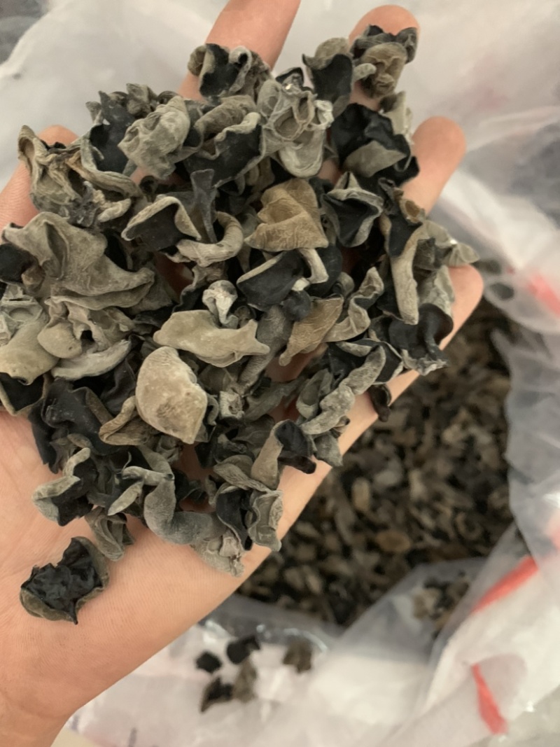 包邮小碗耳一级秋耳1.5新耳