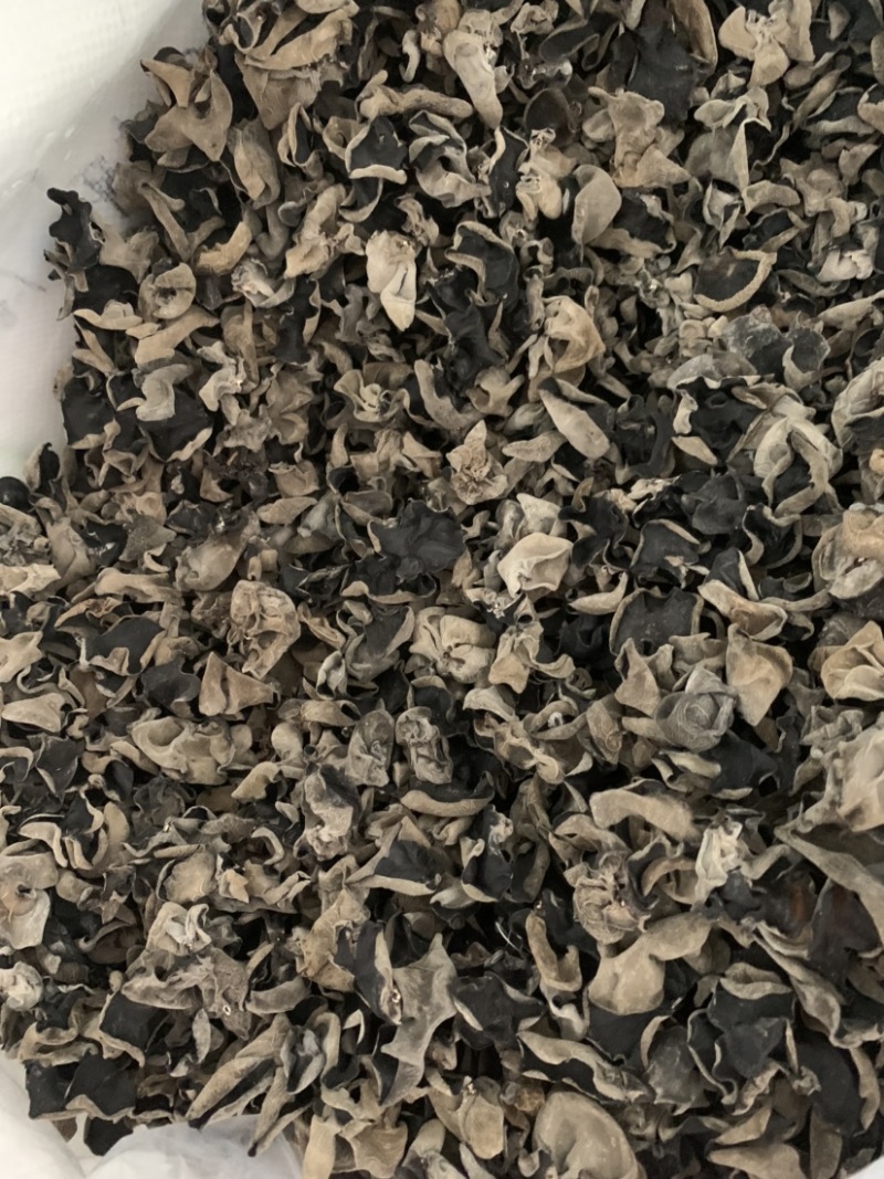 包邮小碗耳一级秋耳1.5新耳