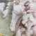 鸭翅根，全国发货，保质保量，货源充足，诚信经营