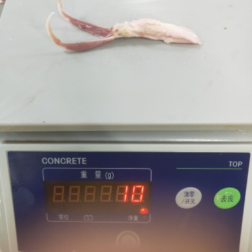 鸭舌厂家直发，一手货源，保质保量，量大从优，欢迎洽谈合作