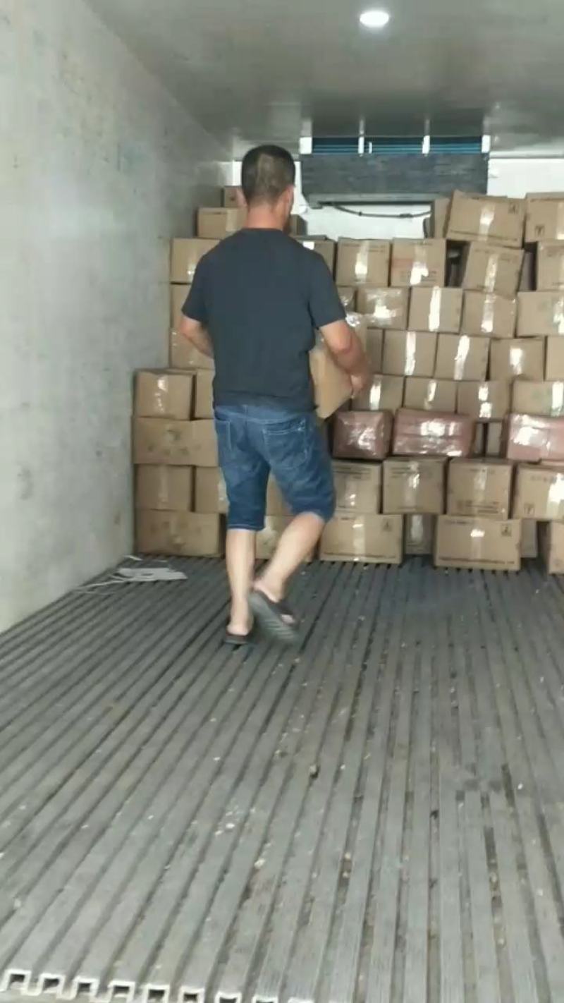 小银鱼面条鱼干高温烘干9成干，味道鲜不咸一件代发不包邮