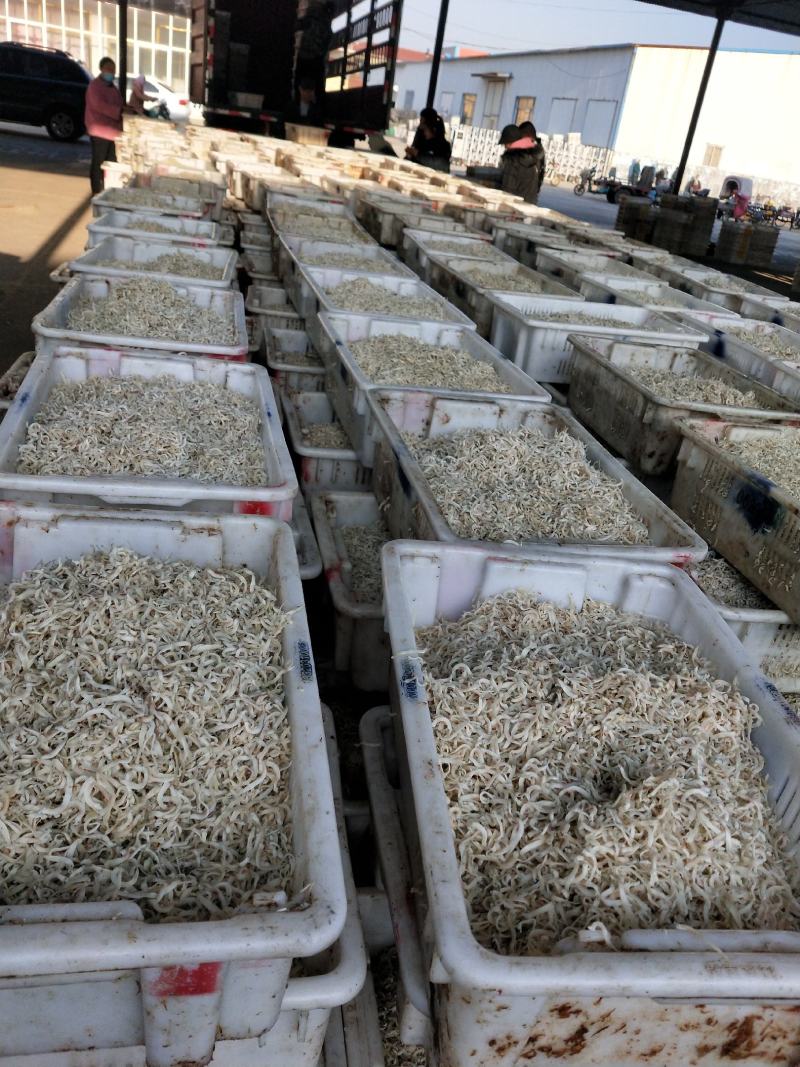 小银鱼面条鱼干高温烘干9成干，味道鲜不咸一件代发不包邮
