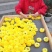 菊花茶