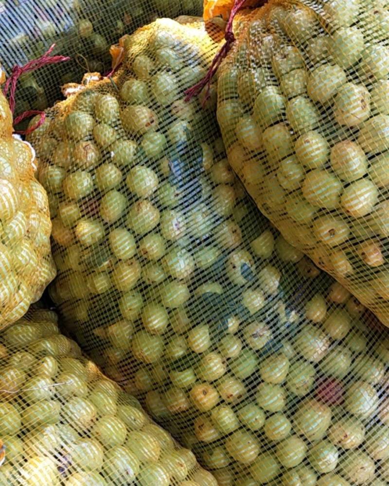 青枣八月2号到15号大量供应
