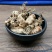 金蝉花统装500g产地山东振兴药材购销站量大从优