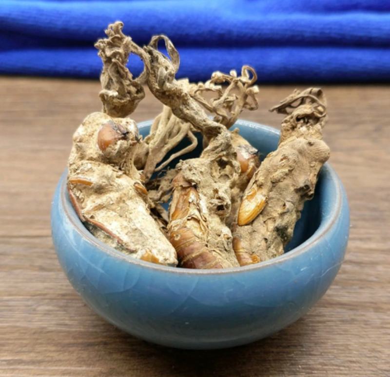 金蝉花统装500g产地山东振兴药材购销站量大从优