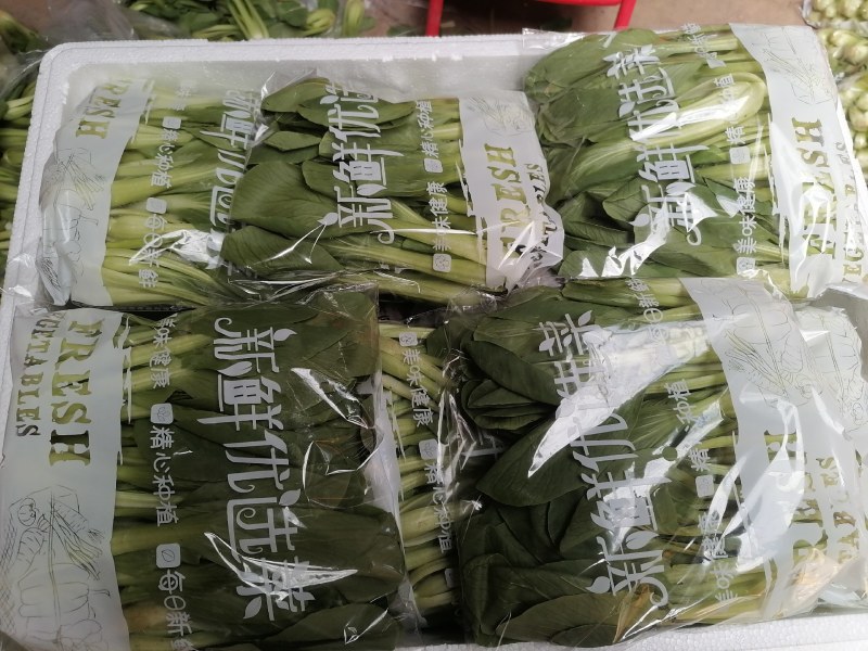 精品油菜