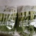 精品油菜