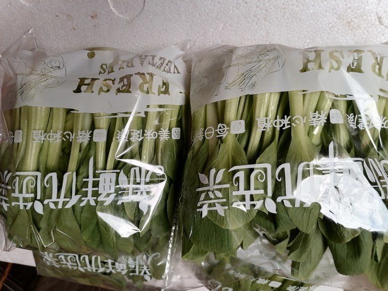 精品油菜