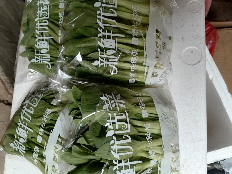 精品油菜