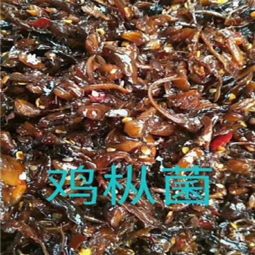 云南鸡纵菌