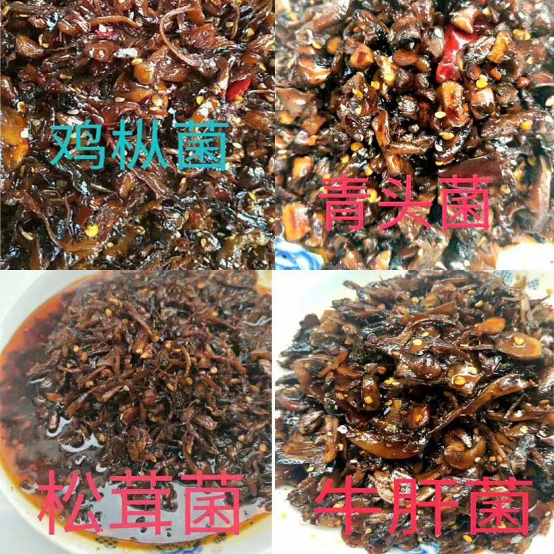 云南鸡纵菌