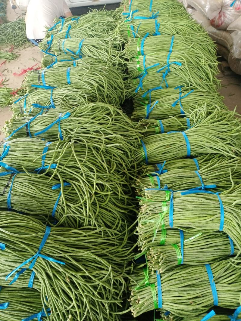 精品鲜青条长豆角，常年代收各种瓜果蔬菜常年代办，保证质量