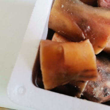 带皮驴长蹄水退驴长蹄整根可分段大量供应带皮去毛