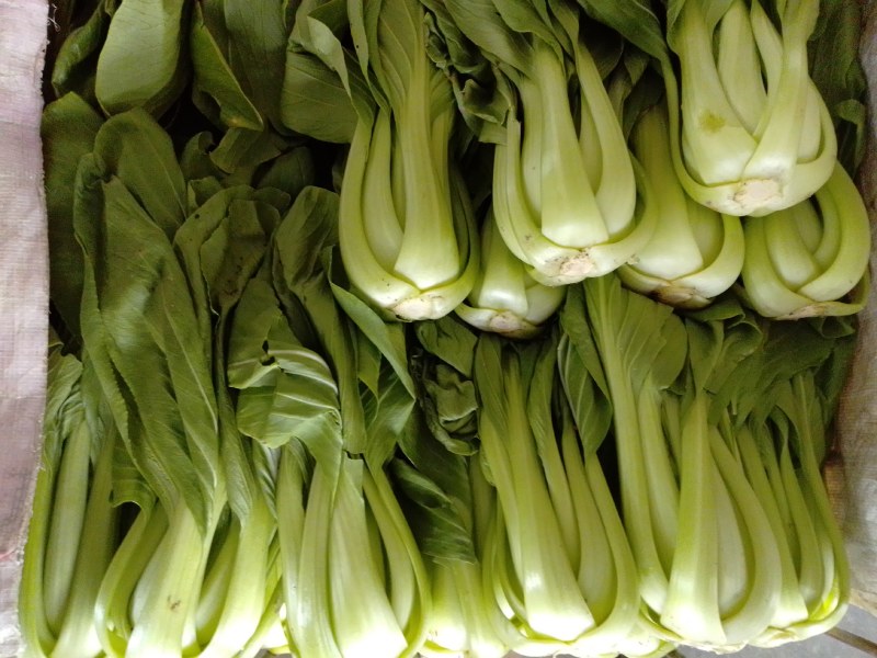 叶菜类