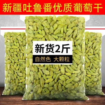 【一折抢购】葡萄干无核白葡萄干新疆大颗粒葡萄干零食干坚果