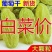 【一折抢购】葡萄干无核白葡萄干新疆大颗粒葡萄干零食干坚果