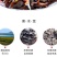 东北黑木耳干货黑木耳干货批发黑木耳干货黑木耳批发小碗耳黑