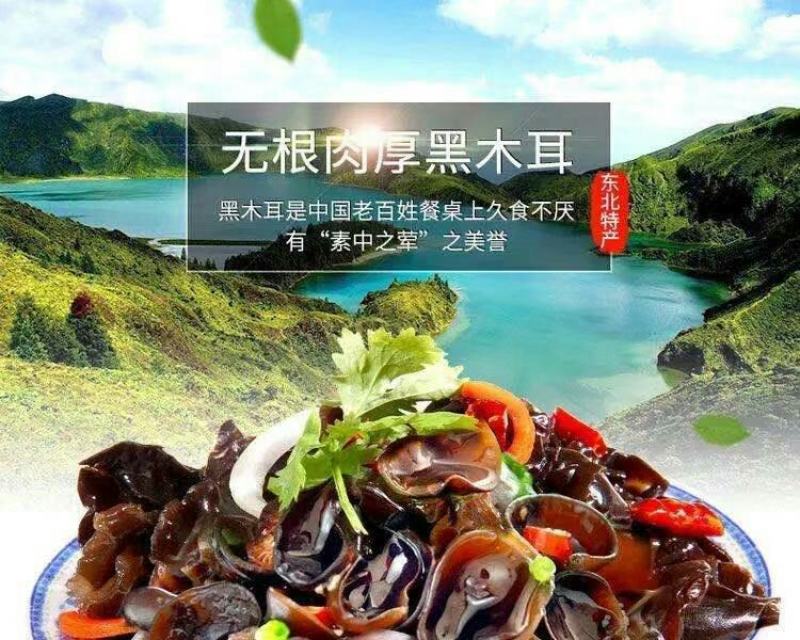 东北黑木耳干货黑木耳干货批发黑木耳干货黑木耳批发小碗耳黑