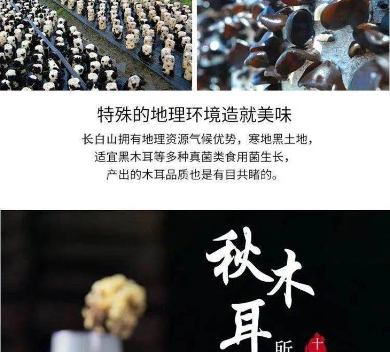 东北黑木耳干货黑木耳干货批发黑木耳干货黑木耳批发小碗耳黑