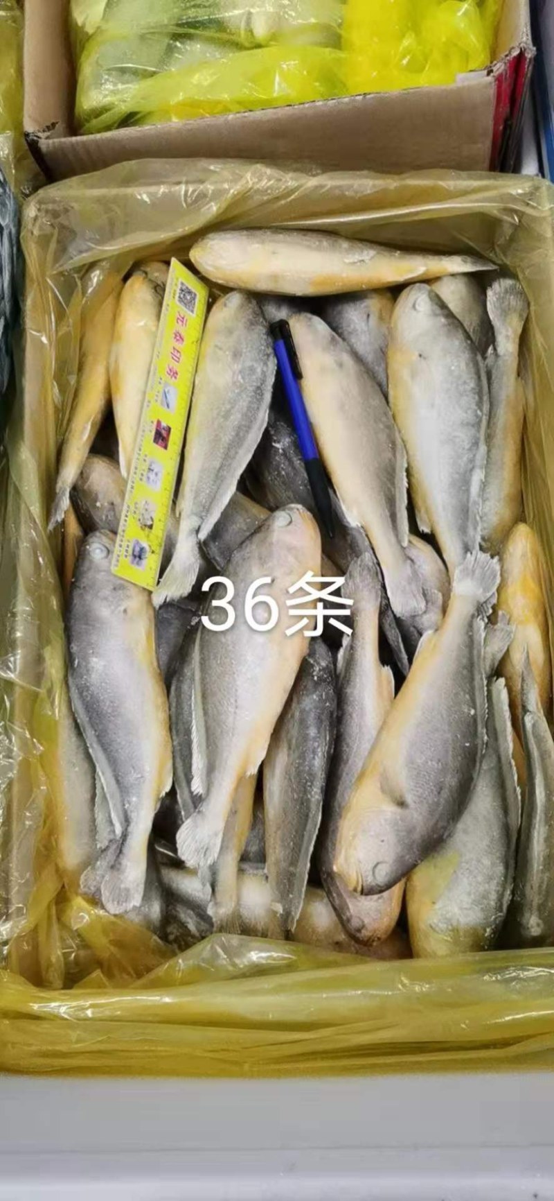 小黄花鱼口感好价格低质量杠杠滴欢迎询价订购