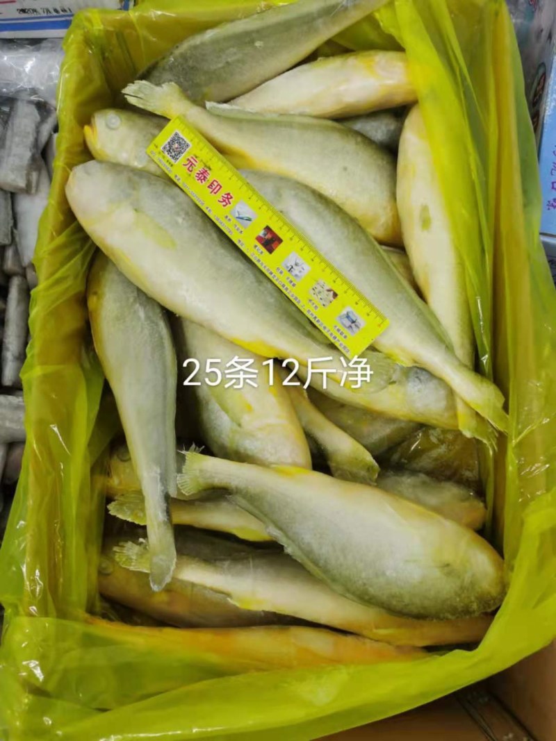 小黄花鱼口感好价格低质量杠杠滴欢迎询价订购
