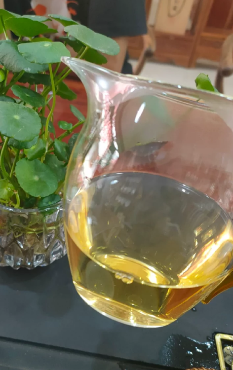云南普洱茶，大树茶