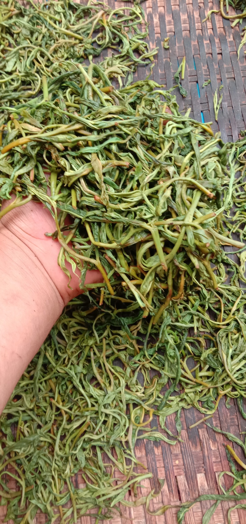 云南普洱茶，大树茶