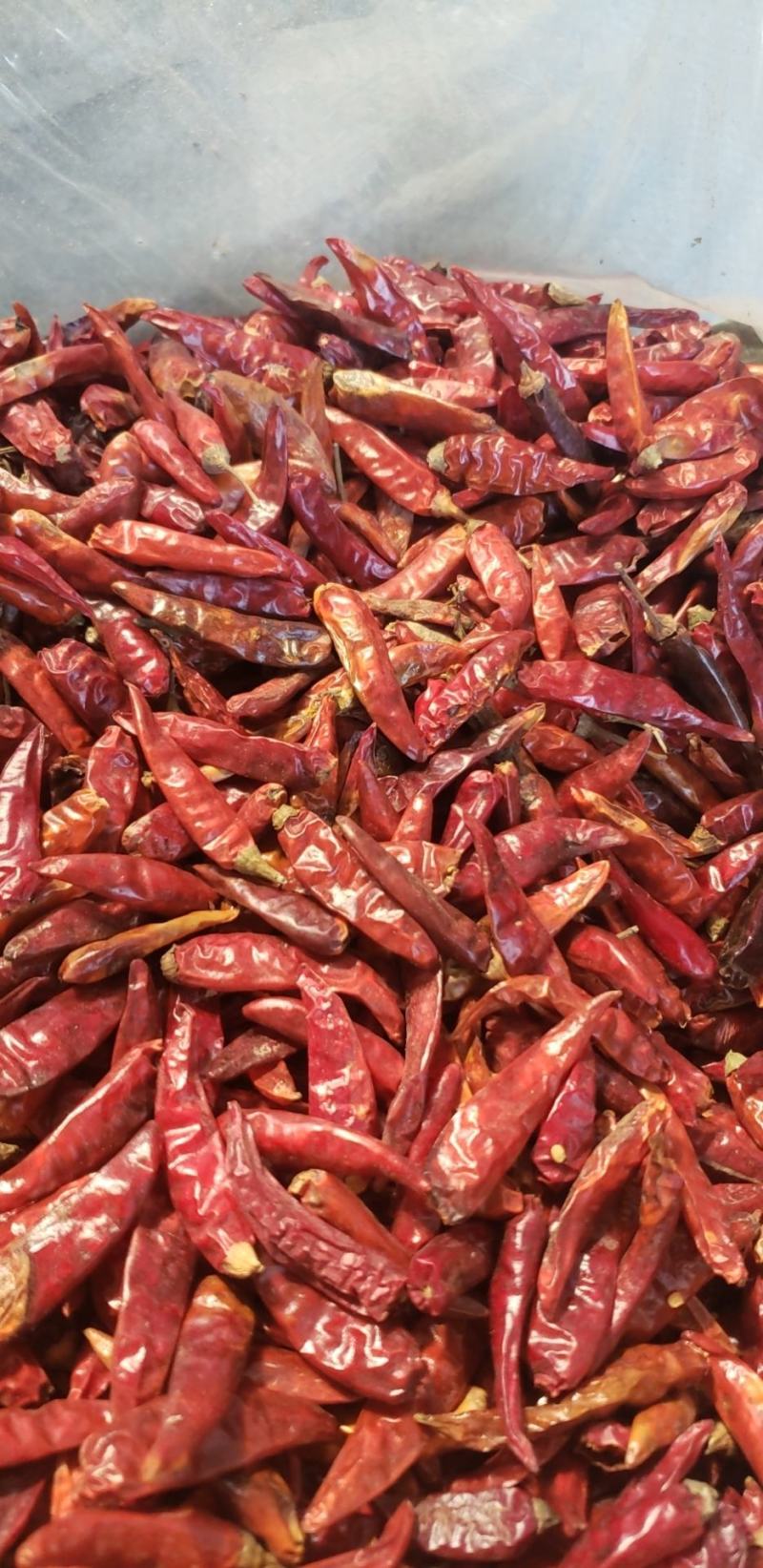 天宇