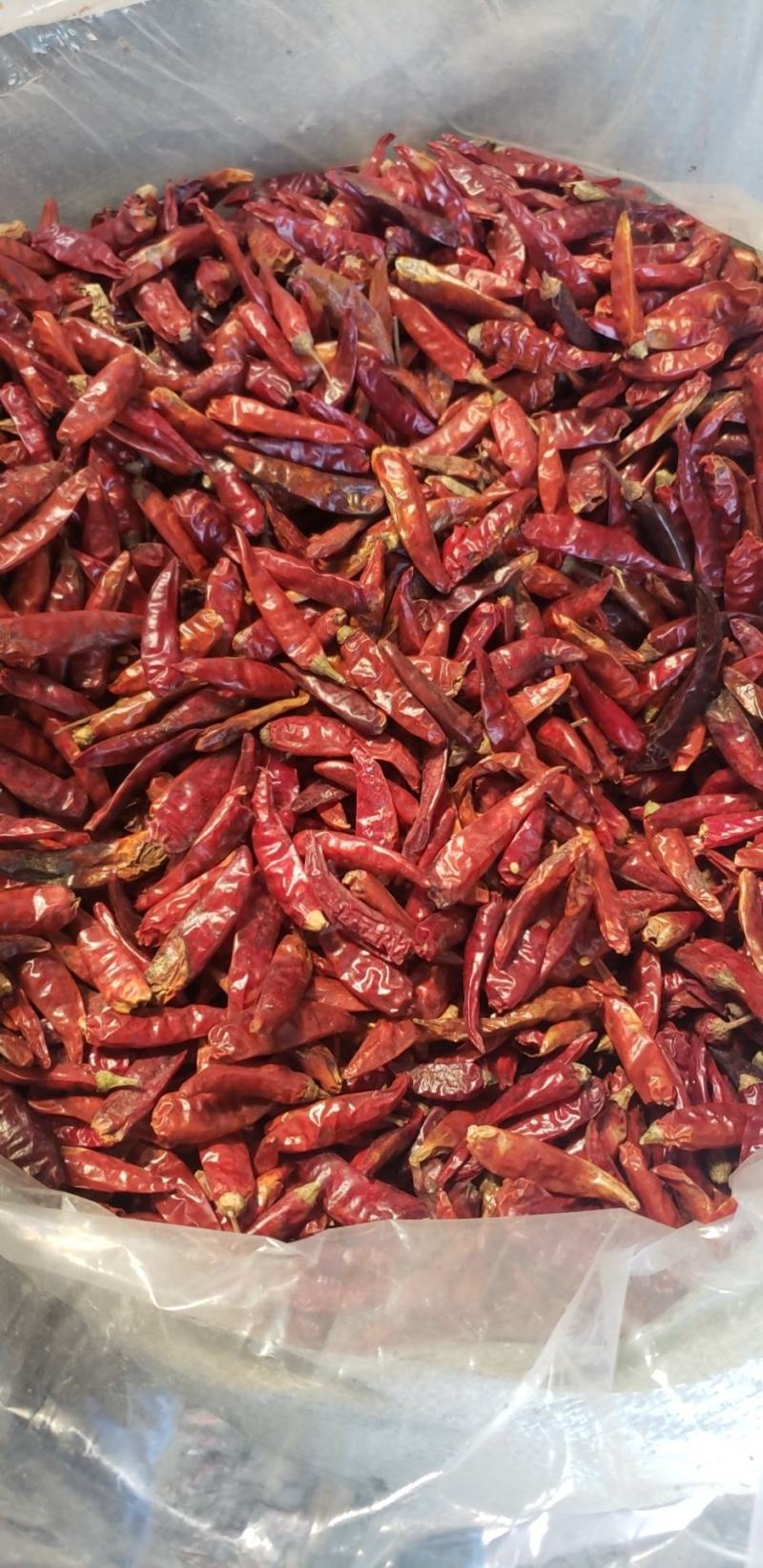 天宇