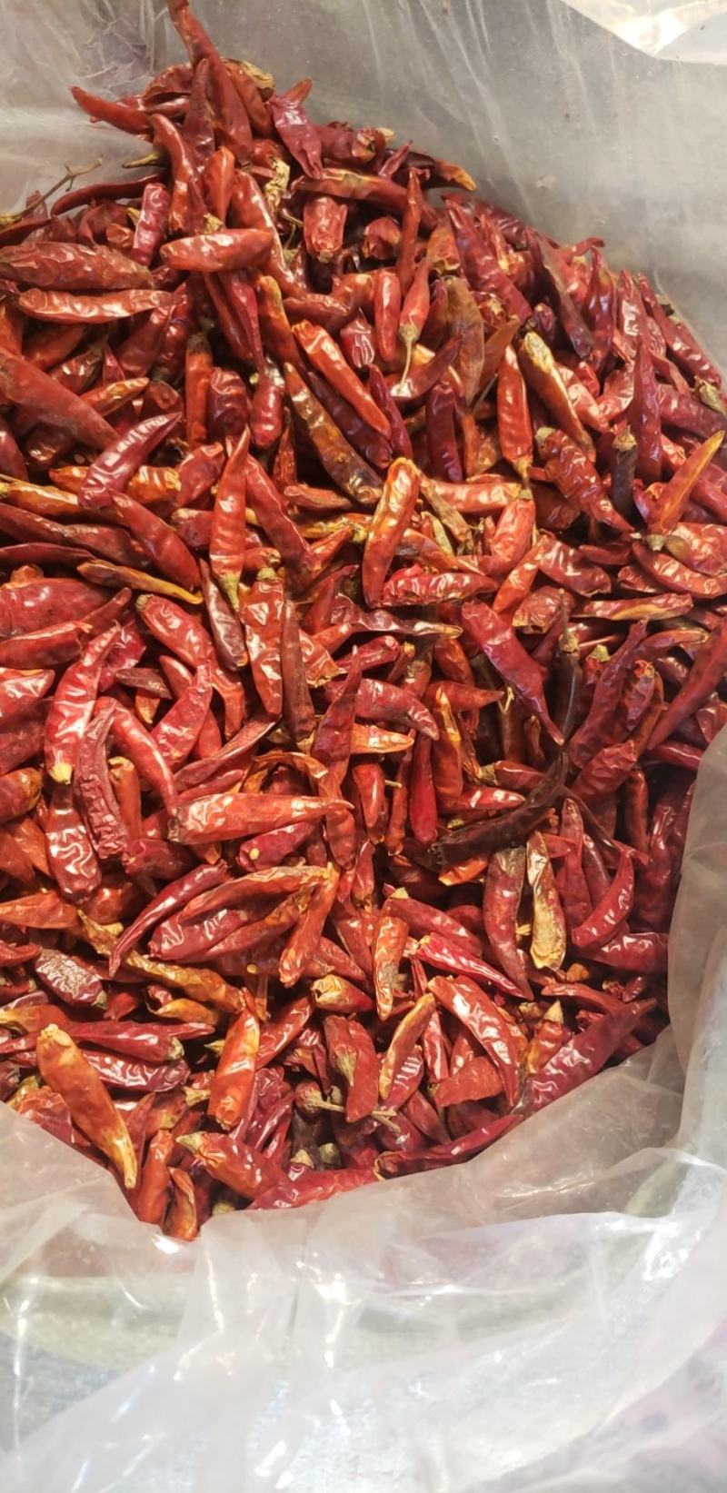 天宇